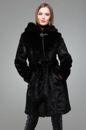 Шуба Кембрия (Н)